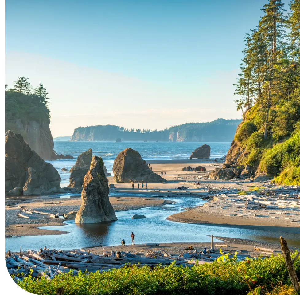 Beach scene with sea stacks and driftwood.